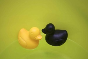 Al agua patos y patas