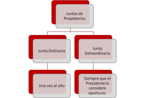 Juntas de Propietarios